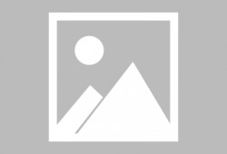 温州新闻爆料网最新消息,最新突发！温州某地发生重大事件，详情即将揭晓